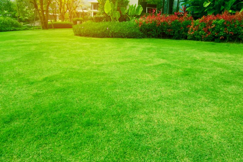 Home Lawn Maintenance