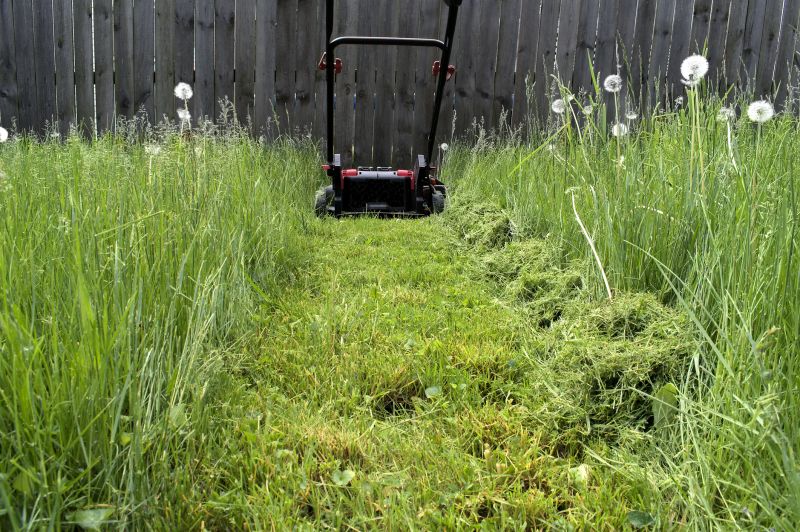 Tall Grass Cutting