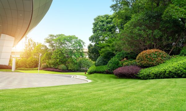 Cost of Commercial Lawn Mowing in Georgetown