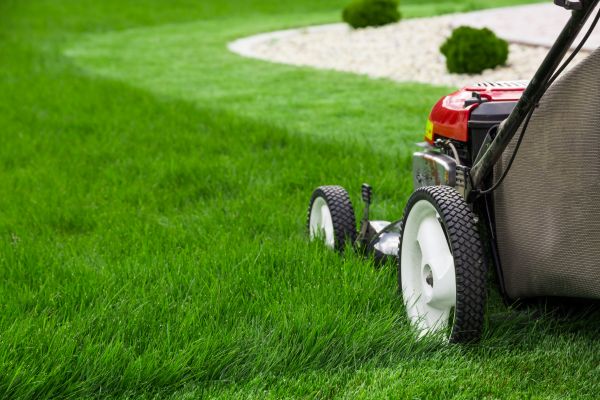 Cost of Grass Cutting Service in Georgetown