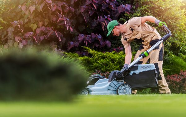 Cost of Lawn Care And Maintenance in Georgetown