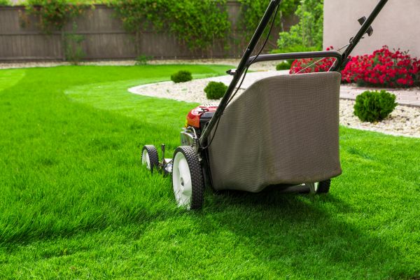 Cost of Lawn Mowing in Georgetown