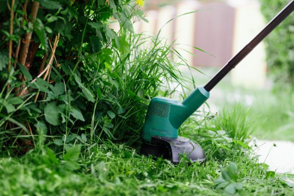 Cost of Weed Whacking in Georgetown