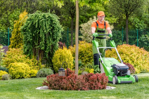 Cost of Yard Service in Georgetown