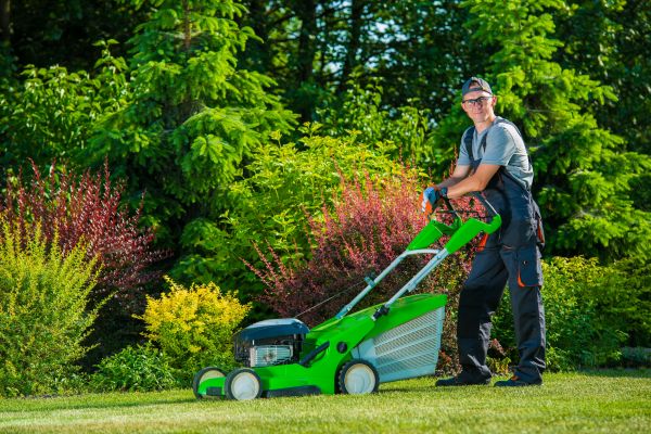 Cost of Yard Work Service in Georgetown