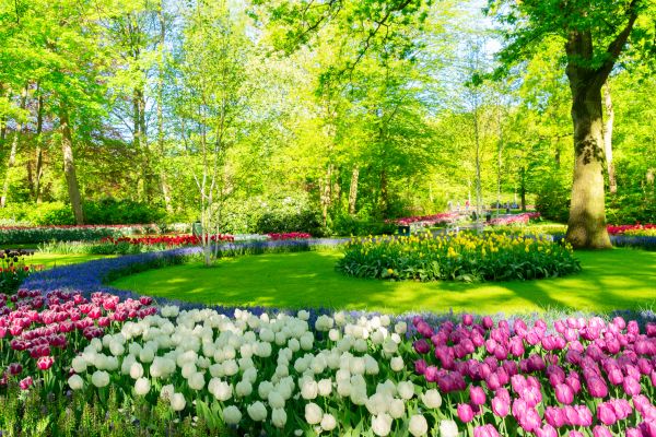Cost of Spring Lawn Care in Georgetown