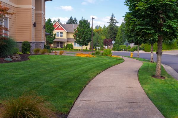 Cost of Home Lawn Maintenance in Georgetown