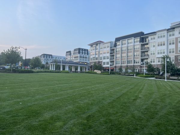 Cost of Urban Lawn Care in Georgetown