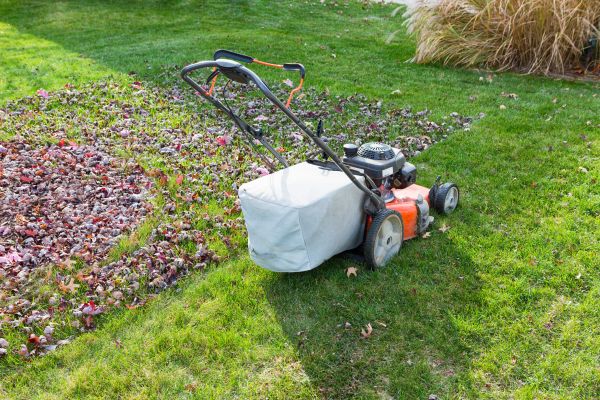 Cost of Seasonal Lawn Care in Georgetown