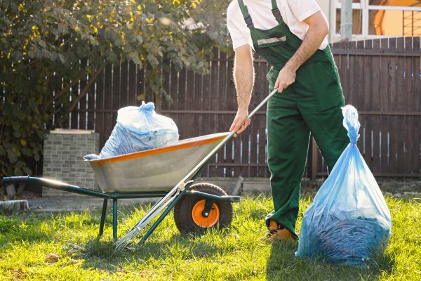 Cost of Yard Cleaning in Georgetown