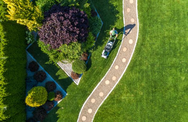 Cost of Mowing And Landscaping in Georgetown