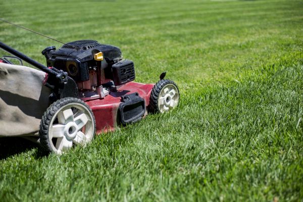 Cost of Routine Lawn Care in Georgetown