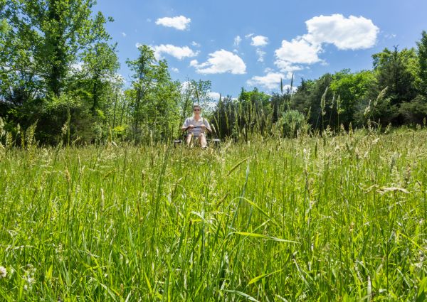 Cost of Long Grass Mowing in Georgetown