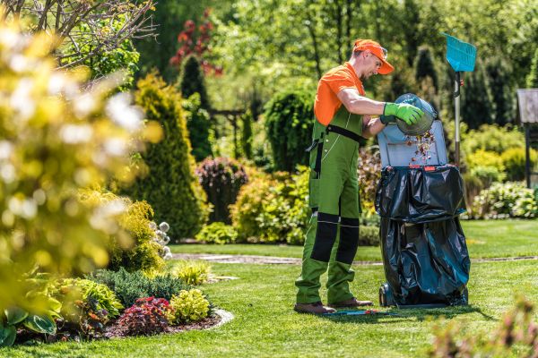 Cost of Lawn Cleaning Service in Georgetown