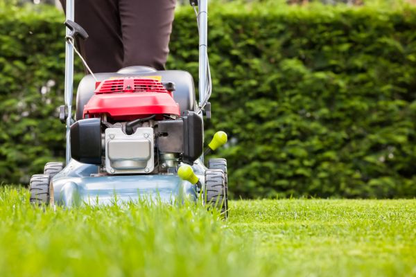 Cost of Grass Trimming Service in Georgetown