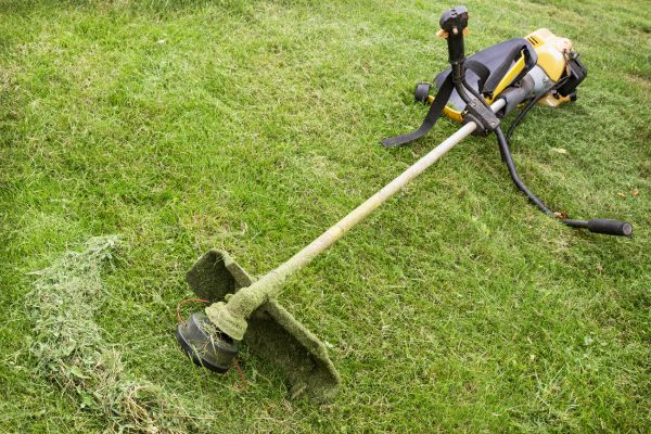 Cost of Hillside Weed Whacking in Georgetown