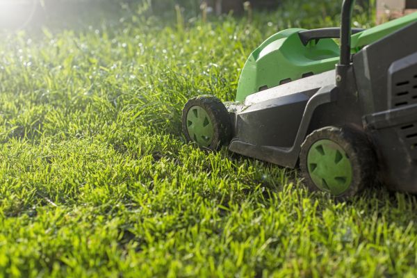 Cost of Yard Trimming in Georgetown