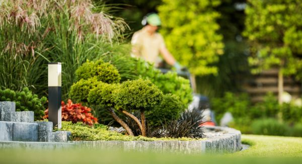 Cost of Residential Yard Maintenance in Georgetown