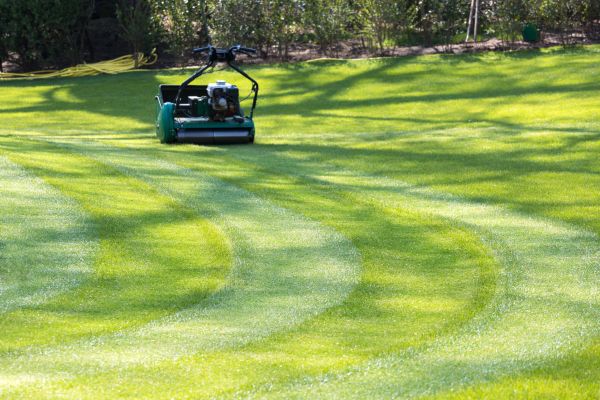 Cost of Business Lawn Mowing in Georgetown