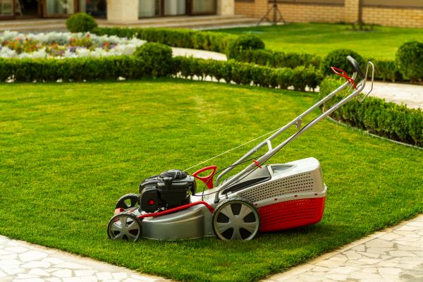Cost of Business Grass Cutting in Georgetown