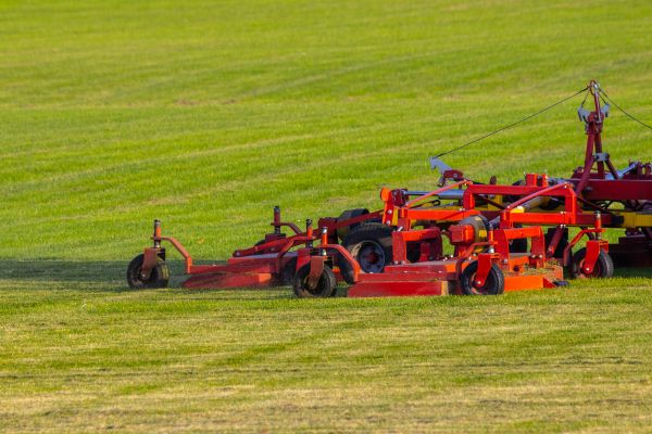 Cost of Industrial Lawn Service in Georgetown