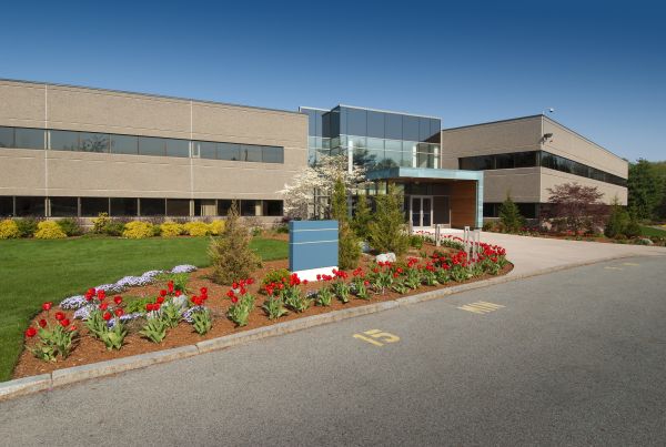 Cost of Commercial Groundskeeping in Georgetown