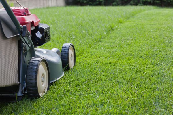 Cost of Spring Lawn Maintenance in Georgetown