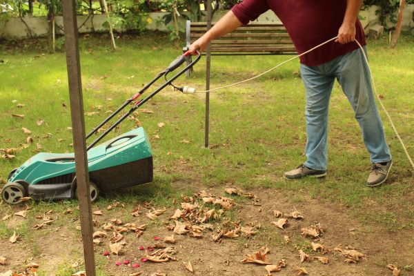 Cost of Leaves Mowing in Georgetown