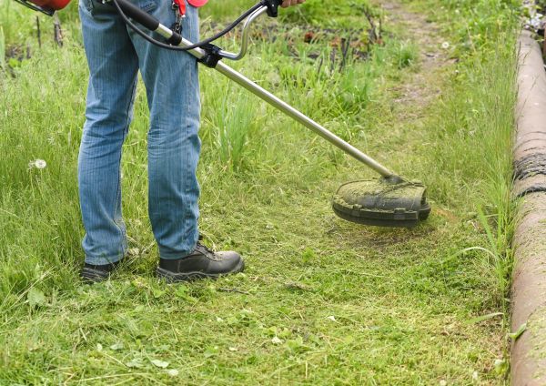 Cost of Tall Grass Trimming in Georgetown